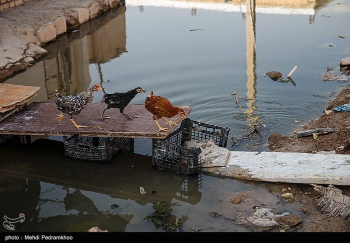 خانه‌های تخریب شده ناشی از آبگرفتگی کارون از سوی بسیج بازسازی اساسی می‌شود