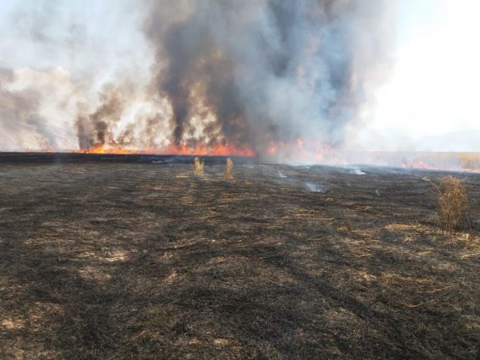۵۰هکتار از اراضی تالاب میانگران ایذه در آتش طمع سوخت