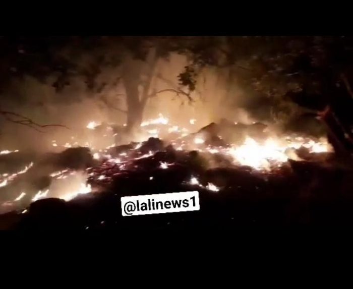 مهار آتش سوزی جنگل های آرپناه در شهرستان لالی