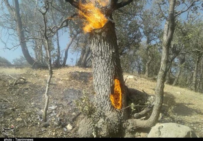 شعله‌های آتش در حال بلعیدن تالاب شیمبار است/ نیروهای محلی و محیط زیست فراخوان شدند