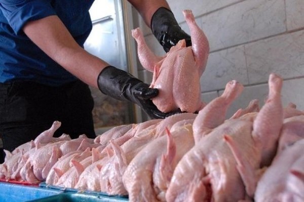 افزایش قیمت مرغ وگوجه فرنگی اشک شهروندان هندیحان رادرآورد