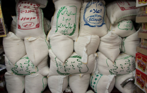 اقتصادی | واکنش ها  به گرانی کالاهای اساسی به خصوص برنج کشت ایرانی