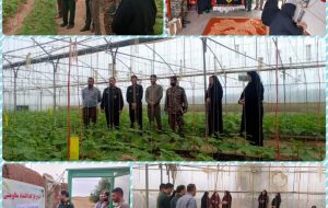 افتتاح کارگاه صنایع دستی و امنیت غذایی در شهرستان لالی + تصاویر افتتاح کارگاه صنایع دستی و امنیت غذایی در شهرستان لالی + تصاویر