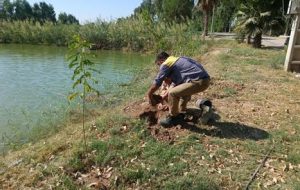 اهدای ۵۰ اصله نهال به سپاه ناحیه موقعیت سلمان توسط شهرداری منطقه دو اهدای ۵۰ اصله نهال به سپاه ناحیه موقعیت سلمان توسط شهرداری منطقه دو