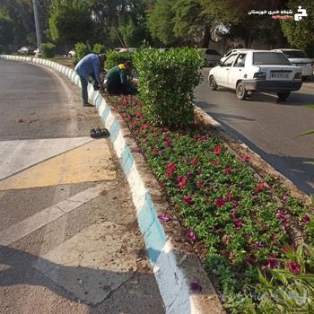 رنگین کمانی از زیبایی در منطقه دو اهواز رنگین کمانی از زیبایی در منطقه دو اهواز