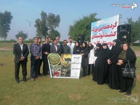 کاشت درختان مثمر (توت موزی) بمناسبت ولادت با سعادت حضرت زینب (س) و تکریم مقام پرستاری در منطقه یک شهرداری اهواز کاشت درختان مثمر (توت موزی) بمناسبت ولادت با سعادت حضرت زینب (س) و تکریم مقام پرستاری در منطقه یک شهرداری اهواز