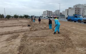 کاشت نهال کنار در فاز ۲ کنارستان منطقه چهار شهرداری اهواز + تصاویر کاشت نهال کنار در فاز ۲ کنارستان منطقه چهار شهرداری اهواز + تصاویر