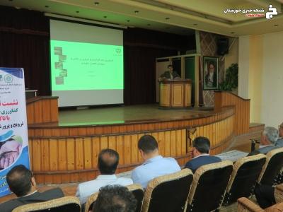 اعلام آمادگی دانشگاه آزاد شوشتر برای همکاری با شیلات خوزستان
