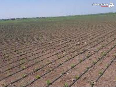 جلوگیری از جعل اسناد اراضی کشاورزی در خرمشهر جلوگیری از جعل اسناد اراضی کشاورزی در خرمشهر