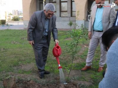 «غرس نهال ایثار» با نام و یاد شهدا «غرس نهال ایثار» با نام و یاد شهدا