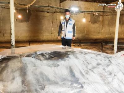 نظارت دامپزشکی دزفول بر عقیم سازی کود مرغی در مزارع پرورش طیور نظارت دامپزشکی دزفول بر عقیم سازی کود مرغی در مزارع پرورش طیور