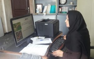 پیشگیری از آفات کلزا در مزارع خوزستان پیشگیری از آفات کلزا در مزارع خوزستان
