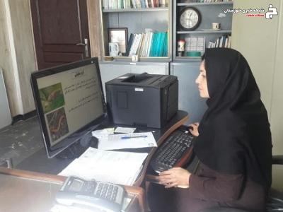 پیشگیری از آفات کلزا در مزارع خوزستان پیشگیری از آفات کلزا در مزارع خوزستان