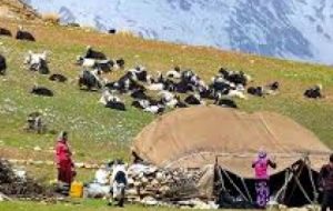 آشنایی عشایر بهبهان با تولید فرآوردههای لبنی و اصول پرواربندی گوسفند و بز آشنایی عشایر بهبهان با تولید فرآوردههای لبنی و اصول پرواربندی گوسفند و بز