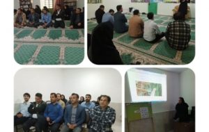 آشنایی و مقابله با آفات و بیماری های گندم در مزارع هندیجان آشنایی و مقابله با آفات و بیماری های گندم در مزارع هندیجان