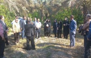 آموزش احداث نخیلات در شوشتر آموزش احداث نخیلات در شوشتر