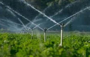 استفاده بهینه از منابع آبی بخش کشاورزی با اجرای آبیاری تحت فشار در حمیدیه
