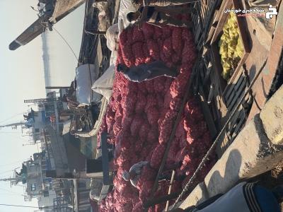 بازدید و بررسی محصولات کشاورزی صادره به خارج از کشور بازدید و بررسی محصولات کشاورزی صادره به خارج از کشور