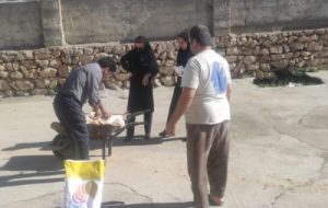 بررسی مشکلات و مسائل مرغداری های ایذه بررسی مشکلات و مسائل مرغداری های ایذه