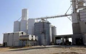 صدور مجوز یک فقره طرح صنعتی کشاورزی در شادگان صدور مجوز یک فقره طرح صنعتی کشاورزی در شادگان