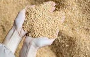 صدور ۳ فقره مجوز تاسیس طرح صنایع تبدیلی در دزفول صدور ۳ فقره مجوز تاسیس طرح صنایع تبدیلی در دزفول