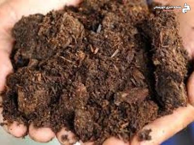 مدیریت تغذیه و کشت با انجام آزمون خاک در خرمشهر مدیریت تغذیه و کشت با انجام آزمون خاک در خرمشهر