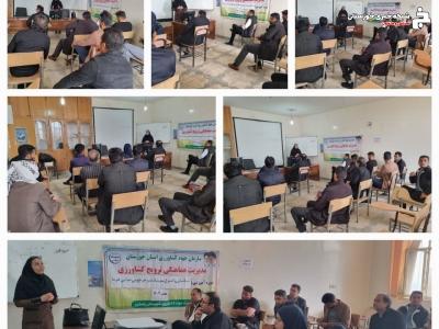 کنترل و مدیریت سوسک سرخرطومی حنایی خرما در رامشیر کنترل و مدیریت سوسک سرخرطومی حنایی خرما در رامشیر