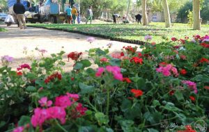 آغاز عملیات گسترده آماده سازی فضای سبز و گلکاری های بهاری توسط منطقه سه شهرداری اهواز + تصاویر آغاز عملیات گسترده آماده سازی فضای سبز و گلکاری های بهاری توسط منطقه سه شهرداری اهواز + تصاویر