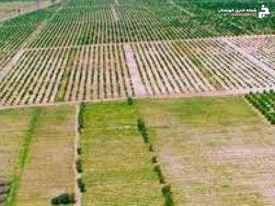 استمرار فعالیت اکیپ های گشت تغییر کاربرای اراضی در خرمشهر استمرار فعالیت اکیپ های گشت تغییر کاربرای اراضی در خرمشهر