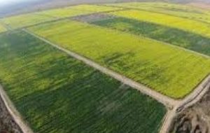 جلوگیری از انحراف اجرای طرحهای دارای مجوز تغییرکابری با نظارت به موقع جلوگیری از انحراف اجرای طرحهای دارای مجوز تغییرکابری با نظارت به موقع