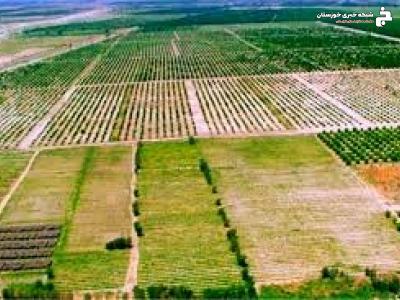 واگذاری ۱۱۹ هکتار اراضی ملی و دولتی جهت اجرای طرحهای کشاورزی و غیرکشاورزی واگذاری ۱۱۹ هکتار اراضی ملی و دولتی جهت اجرای طرحهای کشاورزی و غیرکشاورزی