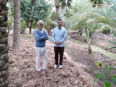 پرداخت بیش از ۱۱ میلیارد ریال اعتبار طرح جایگزینی پاجوش نخیلات در آبادان پرداخت بیش از ۱۱ میلیارد ریال اعتبار طرح جایگزینی پاجوش نخیلات در آبادان