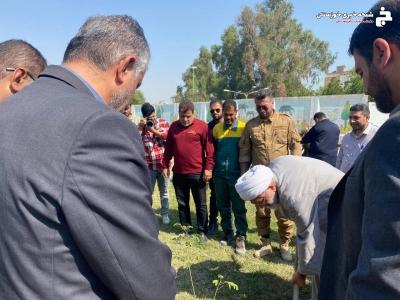 کاشت ۵۰۰ اصله نهال همزمان با روز درختکاری در آبادان کاشت ۵۰۰ اصله نهال همزمان با روز درختکاری در آبادان