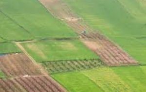 شناسایی۳۵۷ مورد تغییرکاربری غیرمجاز در اراضی کشاورزی خوزستان شناسایی۳۵۷ مورد تغییرکاربری غیرمجاز در اراضی کشاورزی خوزستان