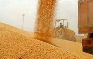 فراهم کردن تمهیدات لازم برای جلوگیری از خسارت به محصول گندم خوزستان