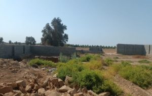 شناسایی پنج مورد تغییرکاربری غیرمجاز در اراضی کشاورزی هندیجان شناسایی پنج مورد تغییرکاربری غیرمجاز در اراضی کشاورزی هندیجان