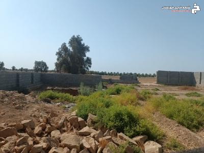 شناسایی پنج مورد تغییرکاربری غیرمجاز در اراضی کشاورزی هندیجان شناسایی پنج مورد تغییرکاربری غیرمجاز در اراضی کشاورزی هندیجان