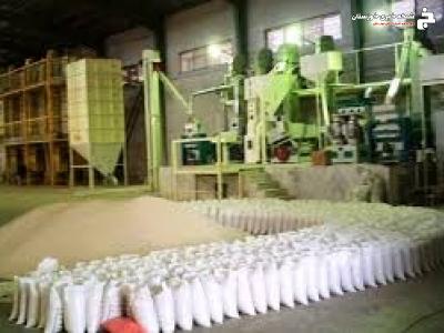 صدور موافقت اصولی طرح خشکاندن شلتوک در شوشتر صدور موافقت اصولی طرح خشکاندن شلتوک در شوشتر
