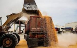 جلوگیری از عرضه خارج از شبکه نهاده های دام و طیور با پایش محموله نهاده ها در آبادان جلوگیری از عرضه خارج از شبکه نهاده های دام و طیور با پایش محموله نهاده ها در آبادان