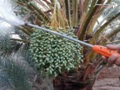 شناخت و کنترل عوامل خسارتزا گام اساسی در کاهش خسارت آفات و بیماریها شناخت و کنترل عوامل خسارتزا گام اساسی در کاهش خسارت آفات و بیماریها