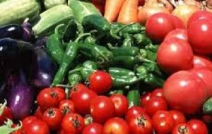 صادرات محصولات کشاورزی از شلمچه صادرات محصولات کشاورزی از شلمچه