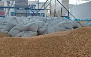 صدور یک فقره موافقت اولیه طرح خوراک آماده دام و طیور در شوش صدور یک فقره موافقت اولیه طرح خوراک آماده دام و طیور در شوش