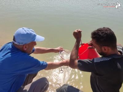 انجام گشت نمونه برداری پروژه ملی مشترک سازمان دامپزشکی و موسسه تحقیقات علوم شیلاتی کشور انجام گشت نمونه برداری پروژه ملی مشترک سازمان دامپزشکی و موسسه تحقیقات علوم شیلاتی کشور