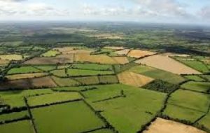 معرفی ۲۱ پرونده برای صدور اسناد تک برگ در شهرستان دزفول معرفی ۲۱ پرونده برای صدور اسناد تک برگ در شهرستان دزفول