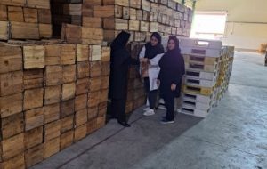 نظارت بر خرماهای خریداری شده در آبادان نظارت بر خرماهای خریداری شده در آبادان