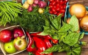 آشنایی با کاشت محصول سالم در خرمشهر آشنایی با کاشت محصول سالم در خرمشهر