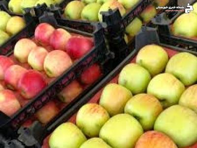 صادرات ۵۷۰ هزار تن محصولات کشاورزی از شلمچه صادرات ۵۷۰ هزار تن محصولات کشاورزی از شلمچه