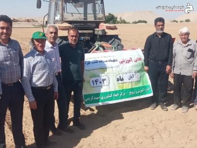 آشنایی با کشت کلزا و استفاده بهینه از دستگاههای کشاورزی در دزفول آشنایی با کشت کلزا و استفاده بهینه از دستگاههای کشاورزی در دزفول