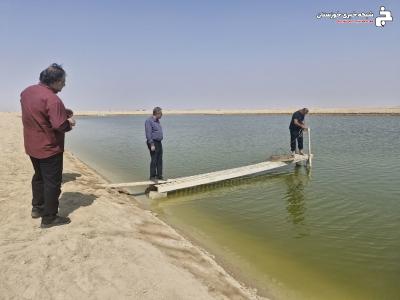 بازدید عوامل نظارتی از طرح های اراضی واگذاری جهت پرورش میگو