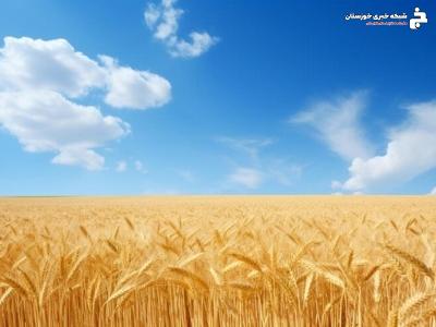 کاهش تنش شوری با استفاده از منابع کودی کاهش تنش شوری با استفاده از منابع کودی